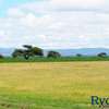 Land at Masai Mara Sekenaki thumb 7