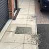 Professional Bed Bugs Control / Cockroach Control / Mosquito Control / Termite Control / Commercial Pest Control .Call now thumb 14