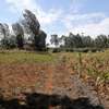 5000 m² residential land for sale in Ngong thumb 2