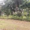 500 m² Residential Land in Ngong thumb 5