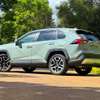 Toyota RAV4  Adventure hybrid 2019 Green thumb 2