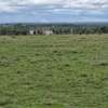Prime 50x100 land for sale- Isinya thumb 2