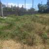 10.5 ac Commercial Land in Athi River thumb 2