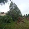land for sale in Ngata thumb 1