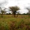 153 Acres of Land For Sale in Ngatateak - Namanga Rd thumb 8