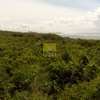 97,125 m² Commercial Land in Diani thumb 6