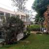 4 Bed House with Garden at Mukoma Road thumb 21