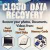 Data recovery services thumb 0