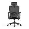 High Back Mesh Office Seat thumb 2
