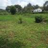 Lovely One Acre in Karen thumb 11