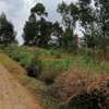 500 m² Commercial Land in Kikuyu Town thumb 4