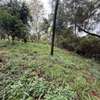 5 ac Land in Kitisuru thumb 6