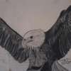 My A4 size art on an eagle. thumb 2