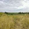 Affordable Plots in THIKA-MUTHARAA. thumb 4