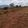 10 Acres for sale in canaan within voi thumb 0
