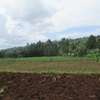 3.25 ac Land at Ngecha-Wangige Rd thumb 12