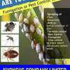 Fumigation and Pest control Services thumb 4