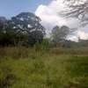 0.5 ac Residential Land in Karen thumb 1