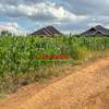 0.05 ha Residential Land at Lusigetti thumb 8