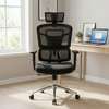 Executive Orthopedic Mesh Office Chair thumb 0