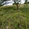Lovely One Acre Land in Ongata Rongai thumb 3