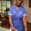Domestic Staffing Agency-Cleaning & Domestic Services thumb 1