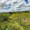 LAND FOR SALE IN TARU ( ALONG MOMBASA NAIROBI HIGHWAY) thumb 4