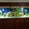 Aquarium Cleaning Services | Fish Tank Maintenance Company thumb 11