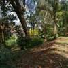 4 Bed House with En Suite at Lower Kabete Rd thumb 4