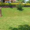 Exquisite 5 Bedroom House All Ensuite on Half Acre in Runda. thumb 1