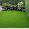 grass carpets for your homes thumb 1