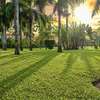Hotel for sale at Diani on 6 acres thumb 6