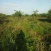 1500 Acres Available For Sale in Kitui Mutha Region thumb 0