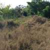 Plot for sale in diani thumb 5