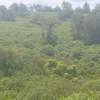 Plot for Sale – Thika Road (1st Row, Superhighway) thumb 1