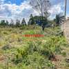 3.5 ac Land in Kikuyu Town thumb 4