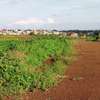 0.125 ac Commercial Land at Ruiru - Mugutha ( Kabogo) Road thumb 4
