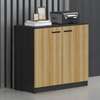 Office Cabinet: 4-Door  File Wooden Storage Office Cabinet thumb 0