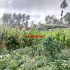 0.05 ha Residential Land at Gikambura thumb 30