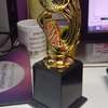 TROPHIES PERSONALIZED TO SUIT YOUR AWARDING NEEDS thumb 0