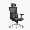 Office Chair: Orthopedic Seat with Lumbar Support thumb 3