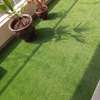 green splendor; grass carpet thumb 0