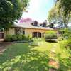 4 Bed House with Garden at Loresho thumb 39