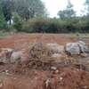 0.25 ac Residential Land in Ngong thumb 5