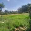 1.4 ac Residential Land in Karen thumb 5