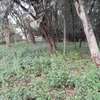 1 ac Land in Karen thumb 4