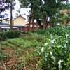1/4-Acre Plot For Sale in Wangige thumb 3