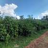Residential Land at Thigiri Ridge thumb 8
