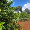 Prime residential quarter acre for sale in Kiambu road thumb 1