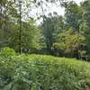 Residential Land at Rosslyn Redhill Road thumb 30